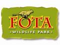 Fota Logo