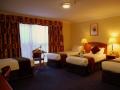 Quad Room