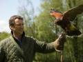 Falconty 2