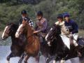 Getaway on Horseback in the Lodge