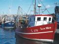 Fishing Boats