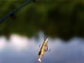 One Day Fishing on Glaslough