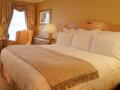 room_image4