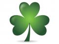 St. Patrick's Day 6
