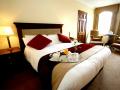Single Double Room