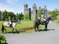 Horses & Castle