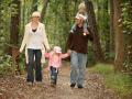 Forest Walk