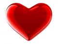 Heart 1