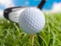 Golf Ball 2