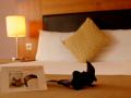 Room Image 2