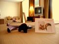 Room Image 4