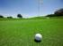 Private Lessons with Professionals