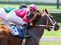 Horse Race 2