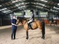 Private Adult Equestrian Lesson