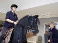 Virtual Horse Lesson